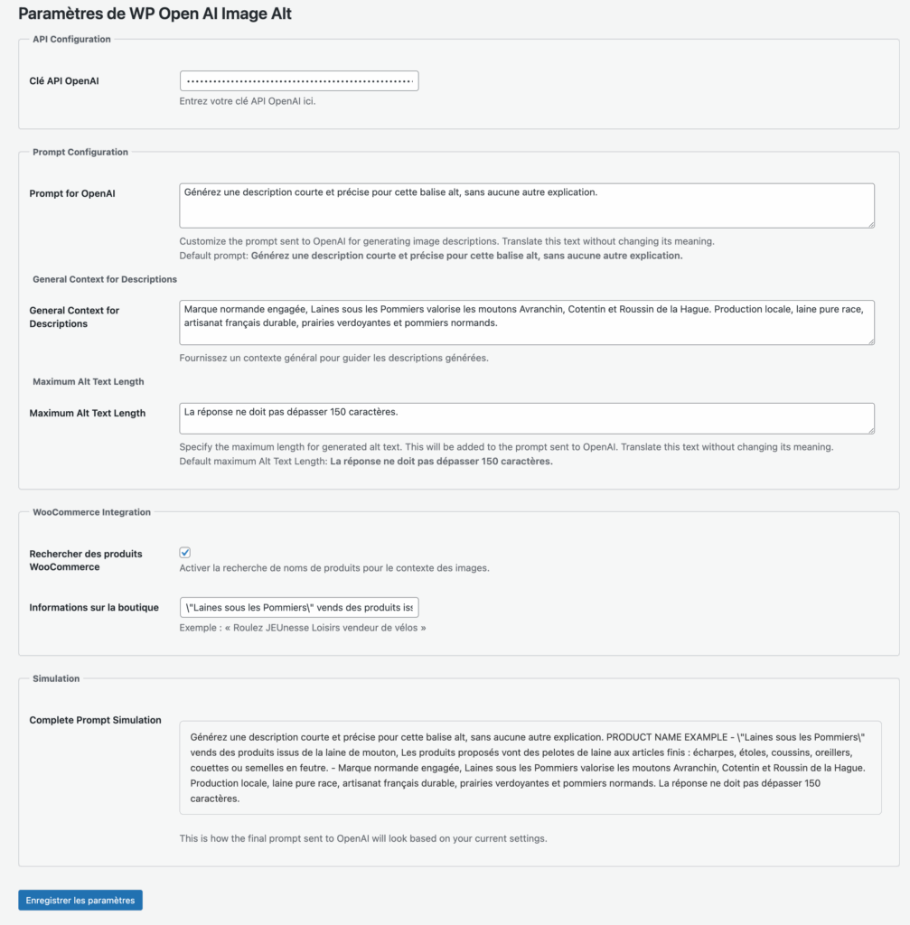Partie admin du plugin : Plugin Alt via GPT — L’IA au service d’un web plus accessible